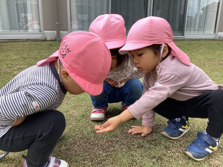 2歳児　あめチーム「春の自然み～つけた‼」