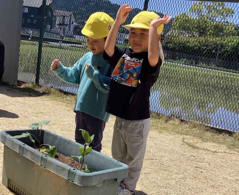 ３歳児　にじチーム「美味しくな～れ！大きくな～れ！」