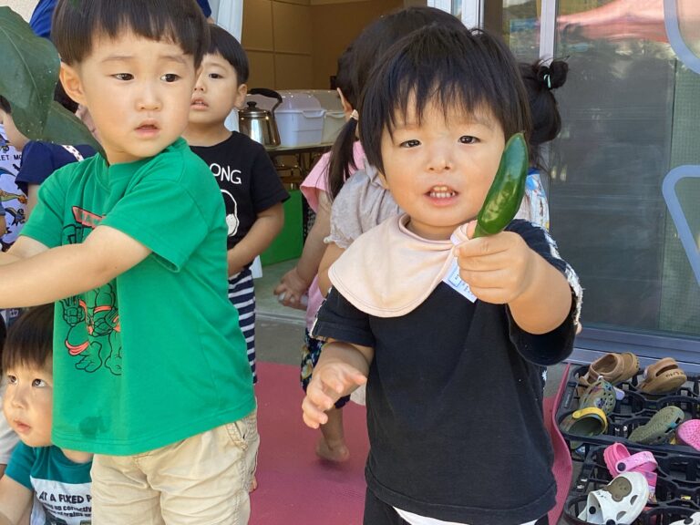 ２歳児　あめチーム　「収穫した野菜を食べたよ！」