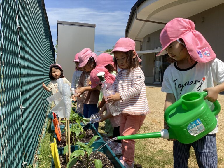 3、4、5歳児「夏野菜を育てよう！」