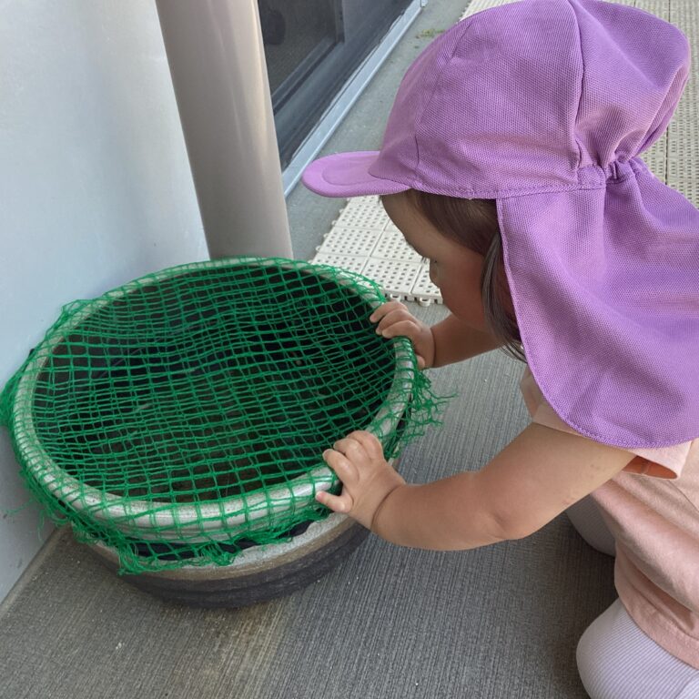 1歳児　だいちチーム　「小さい生き物みーつけた！」